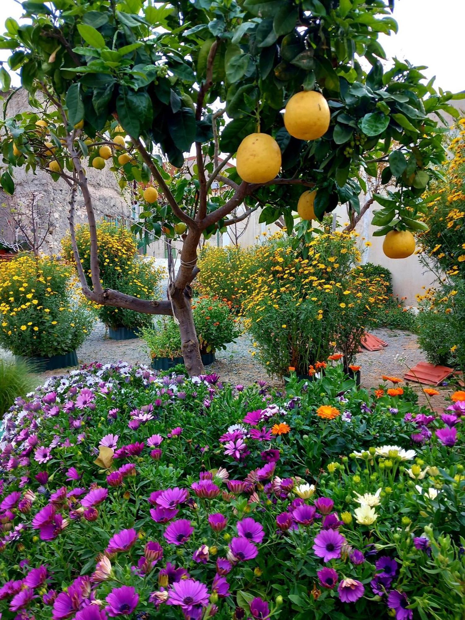 4 Seasons Suites Paradise Near Athens Airport 2 Markopoulo Mesogaias Екстер'єр фото
