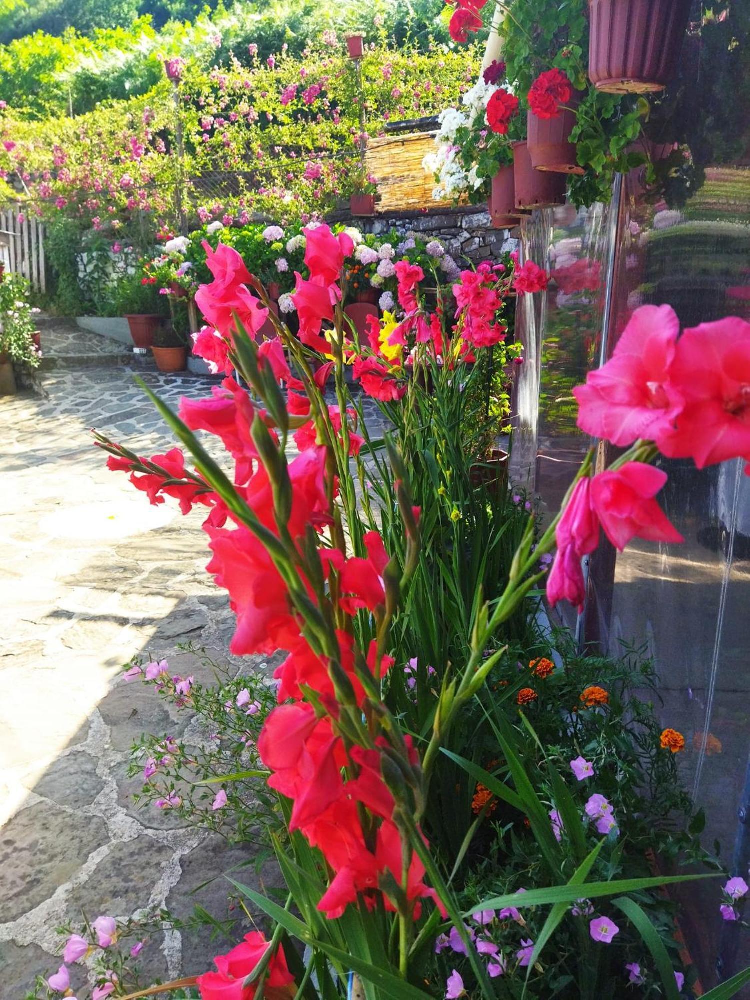 4 Seasons Suites Paradise Near Athens Airport 2 Markopoulo Mesogaias Екстер'єр фото